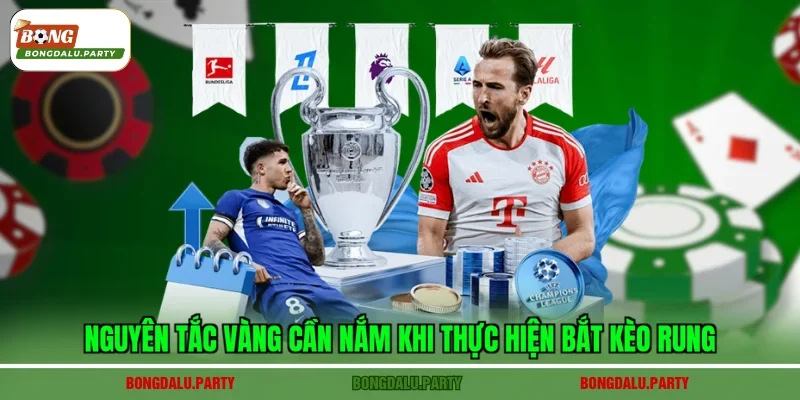 Nguyên tắc vàng cần nắm khi thực hiện bắt kèo rung