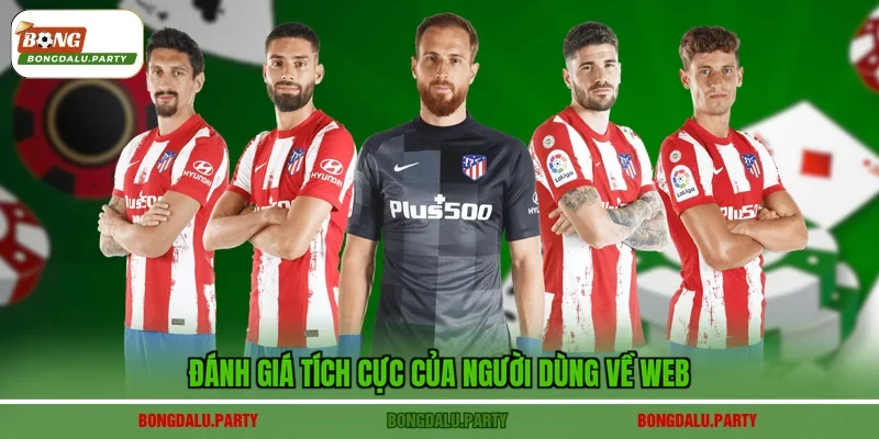 Đánh giá tích cực của người dùng về web