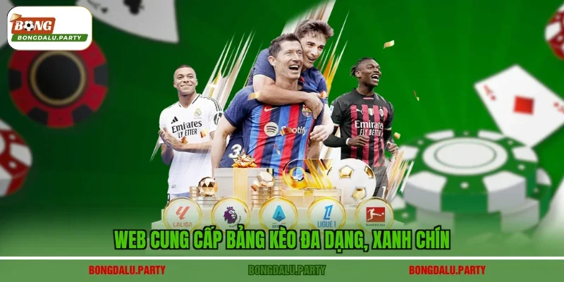 Web cung cấp bảng kèo đa dạng, xanh chín